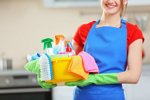 Home cleaning service for E14 apartments and local flats