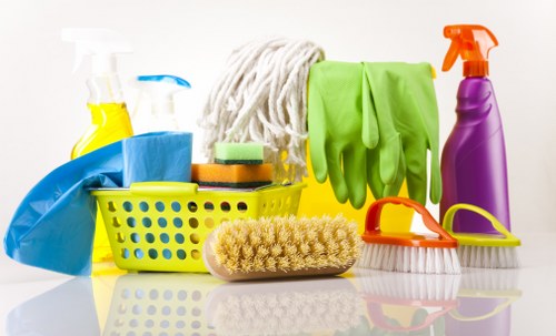 Professional sofa cleaning service in an E14 apartment living room