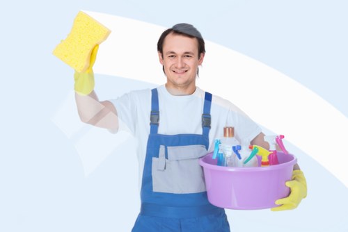 Related rug and upholstery cleaning options alongside carpets