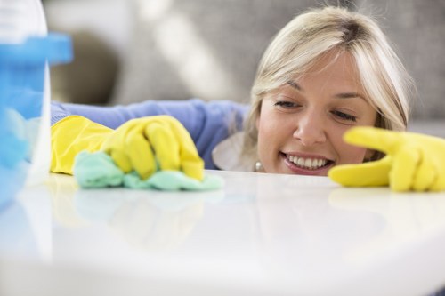 Carpet cleaner treating high-traffic areas in an E14 home