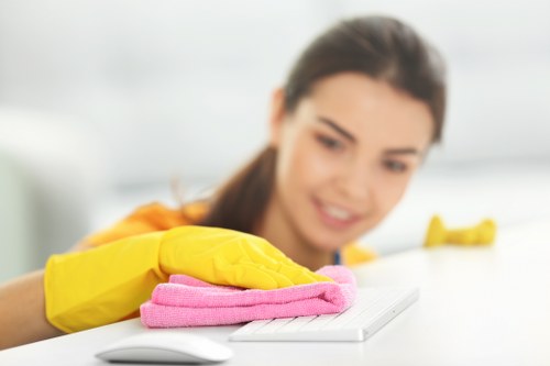 Final inspection after professional carpet cleaning
