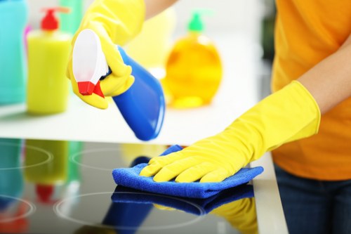 Local cleaning team working in Canary Wharf and Poplar properties
