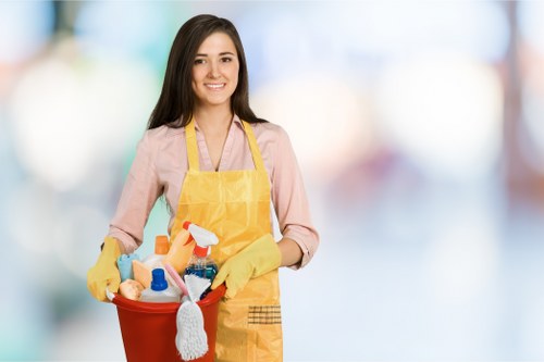 SSL encryption safeguarding Carpetcleaning E14 online payment details