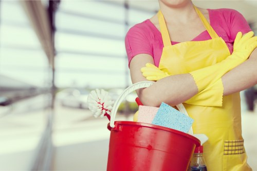 Professional carpet cleaning issue assessment process