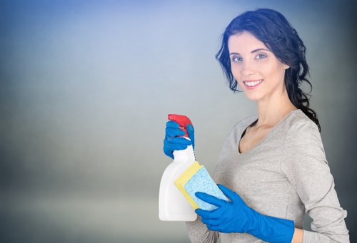 Carpet cleaning preparation and stain treatment in an E14 flat or office